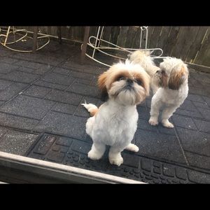 Meet your Posher, Valeria